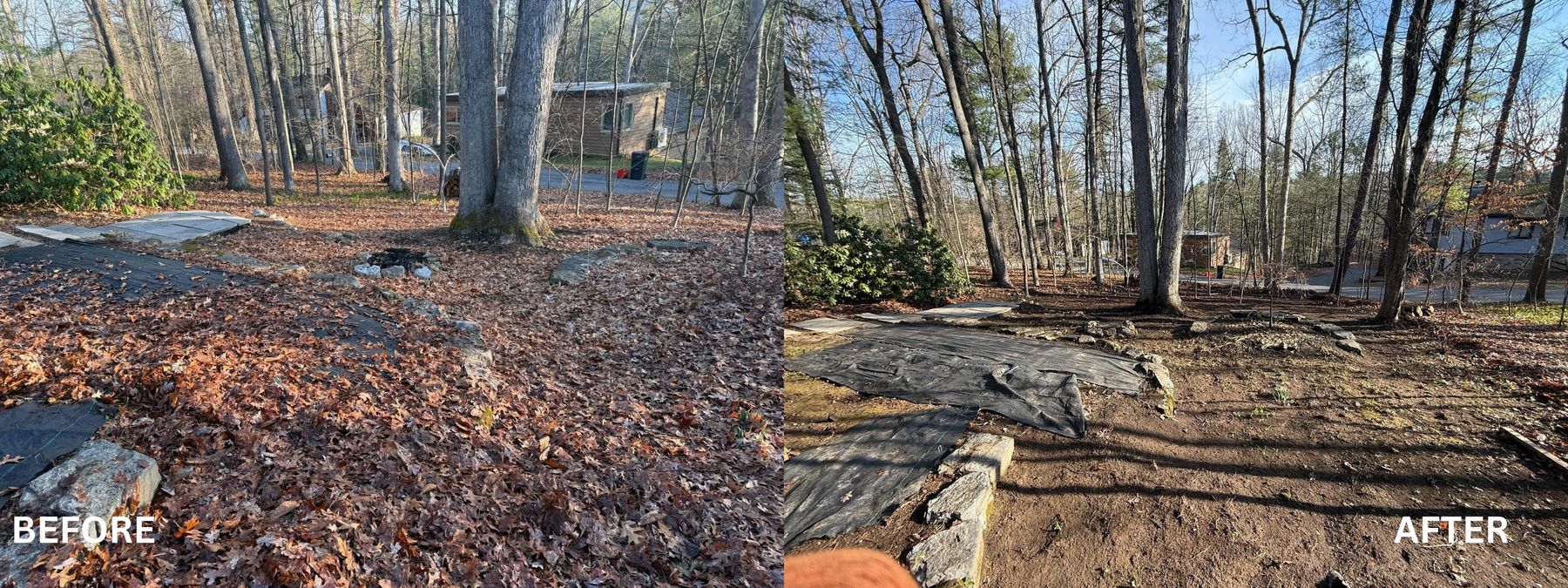 Yard cleanup, before and after