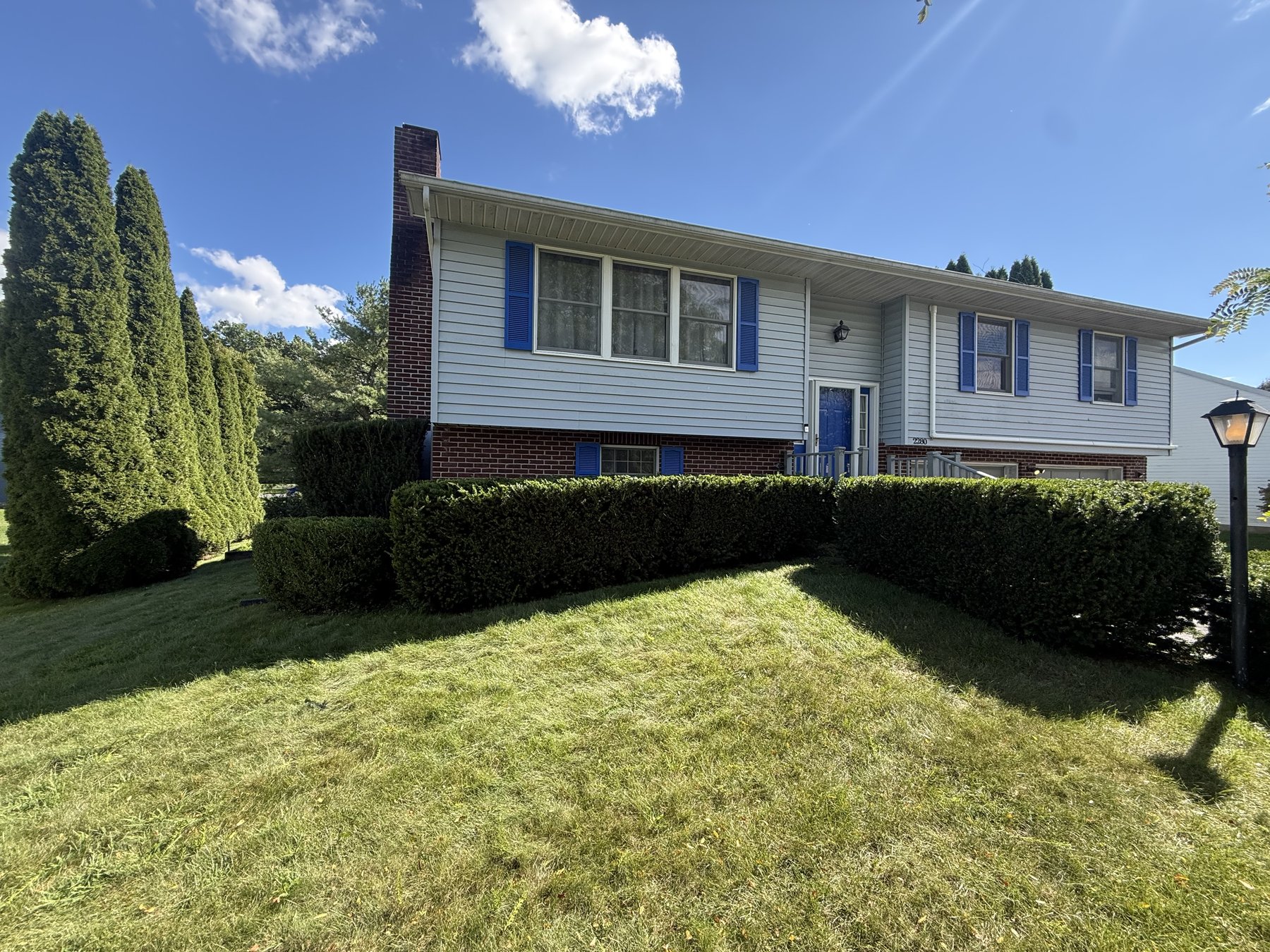 Newly trimmed hedge row